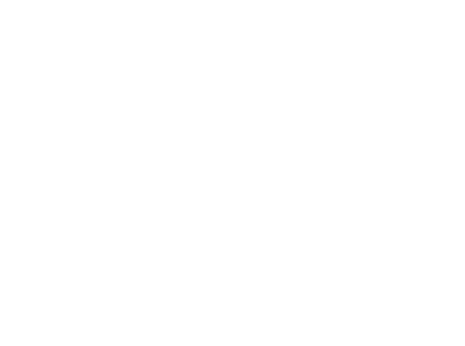 30th Anniversary logo