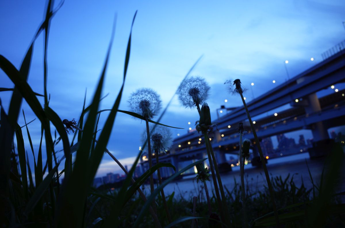 GR | RICOH IMAGING GR | RICOH IMAGING
