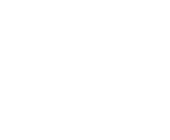 リアル・レゾリューション・システムII