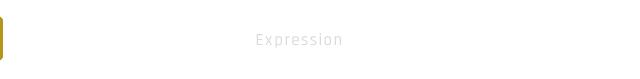 Expression フルサイズの力