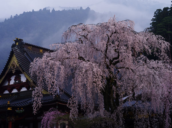 smc PENTAX-FA645 80-160mmF4.5 / 望遠レンズ / 645マウントレンズ ...