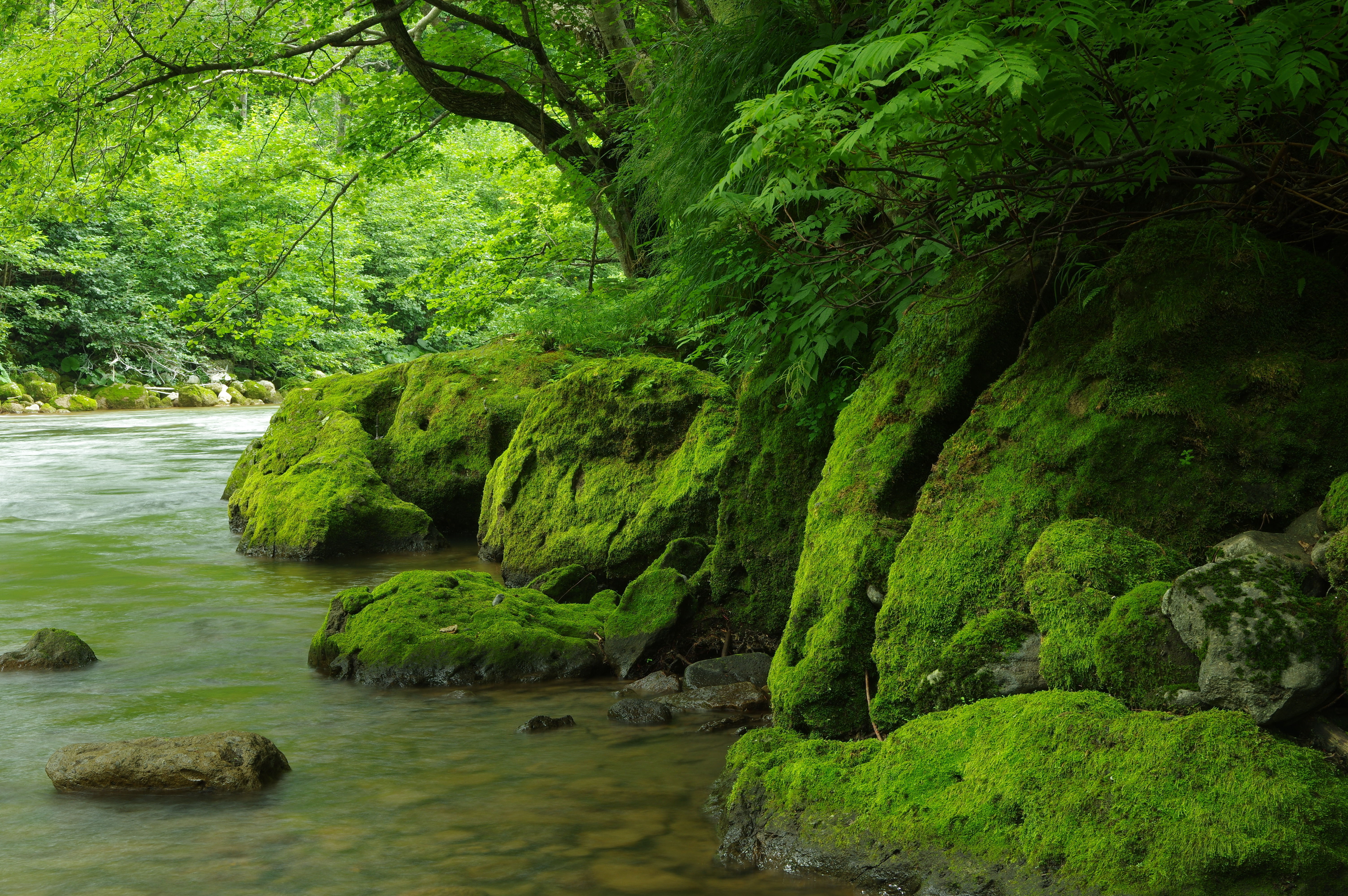 smc PENTAX-DA☆16-50mmF2.8ED AL[IF] SDM / Standard Lenses / K