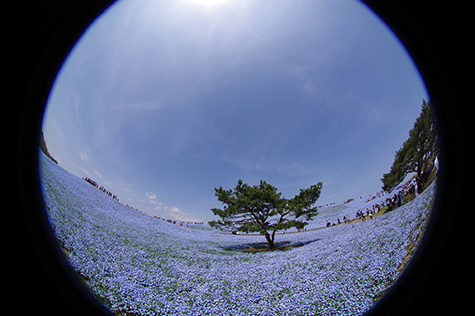 魚眼レンズ　PENTAX FISH-EYE 10-17mm