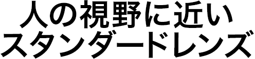 人の視野角視に近いスタンダードレンズ