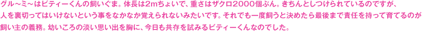 グル～ミ～はビティーくんの飼いぐま。体長は2mちょいで、重さはザクロ2000個ぶん。きちんとしつけられているのですが、
人を裏切ってはいけないという事をなかなか覚えられないみたいです。それでも一度飼うと決めたら最後まで責任を持って育てるのが飼い主の義務。幼いころの淡い思い出を胸に、今日も共存を試みるビティーくんなのでした。