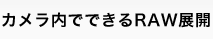 カメラ内でできるRAW展開