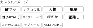 カスタムイメージ