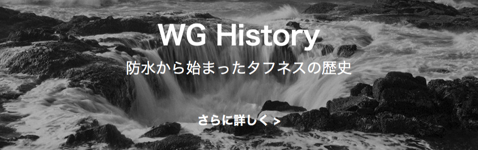WG History