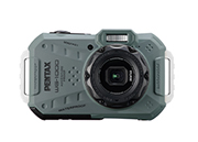WG-1000