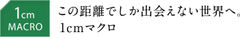 1cm MACRO　 この距離でしか出会えない世界へ。1cmマクロ