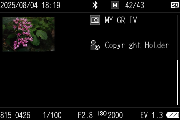 Playback screen on the camera (detailed information display)