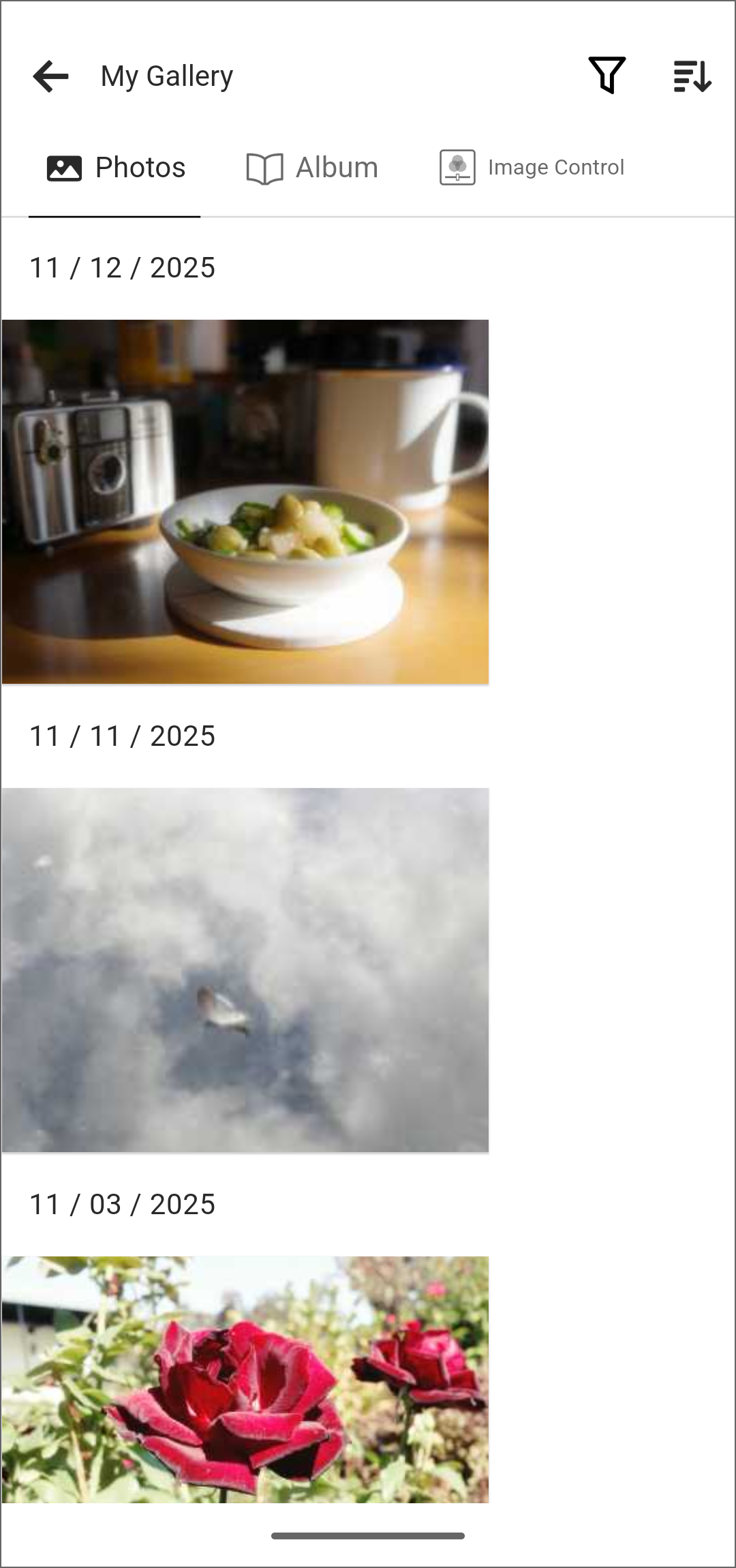 My Gallery
