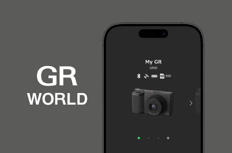 Image illustrating the above content