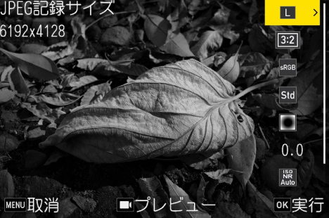 前述の内容を表した画像