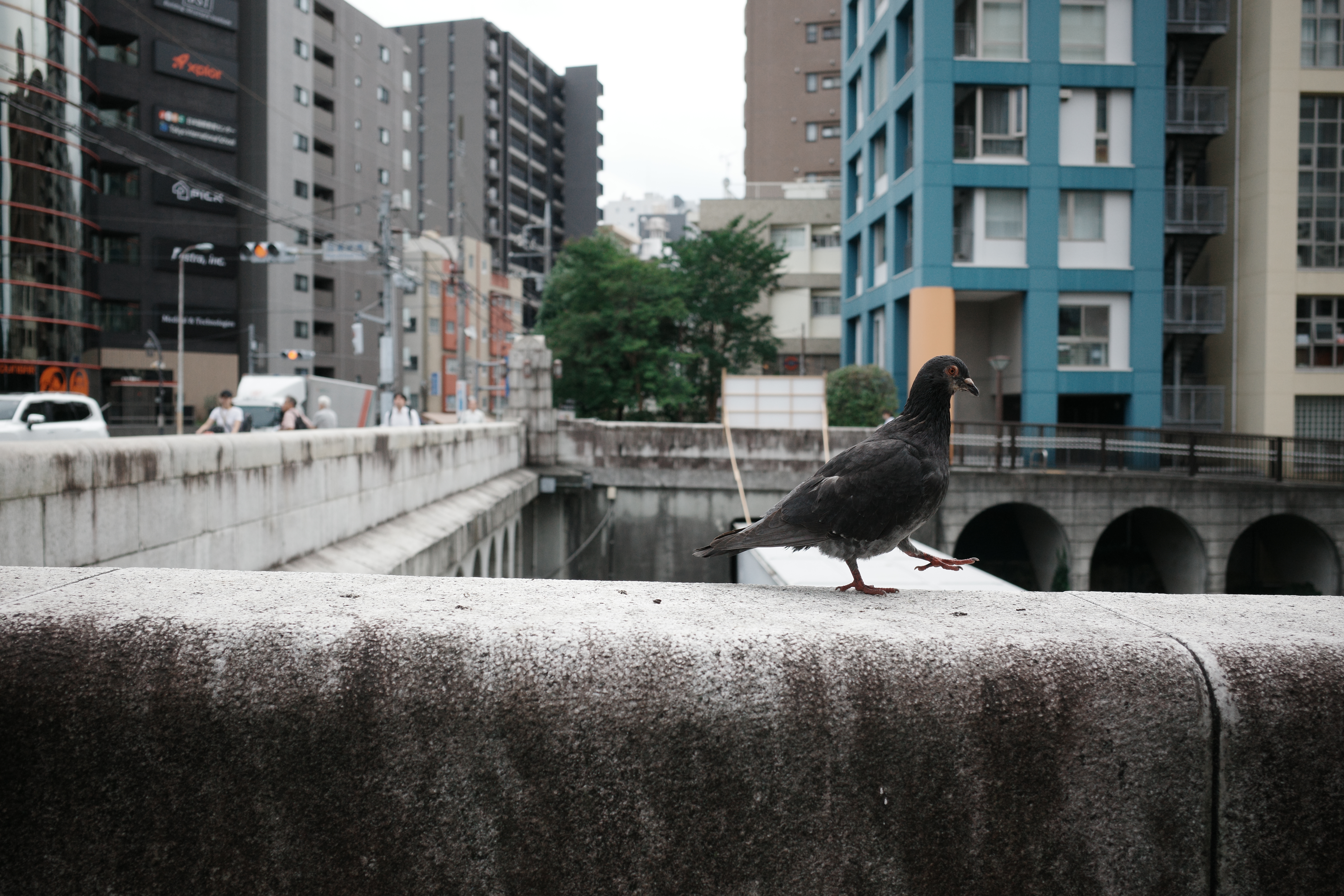 RICOH GR 作例あり RICOH GR 作例あり シャッター数1377回】RICOH GR