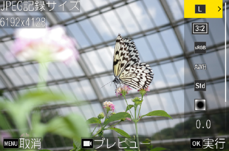 前述の内容を表した画像