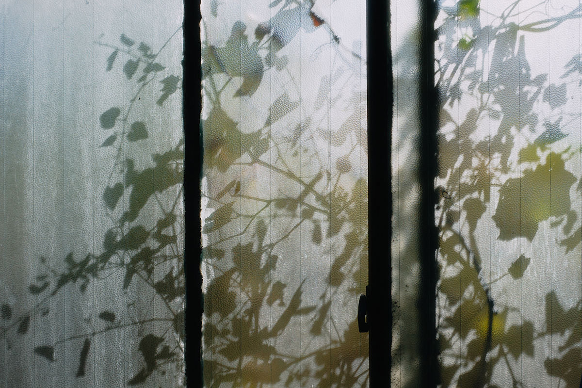 吉祥丸さんサムネ